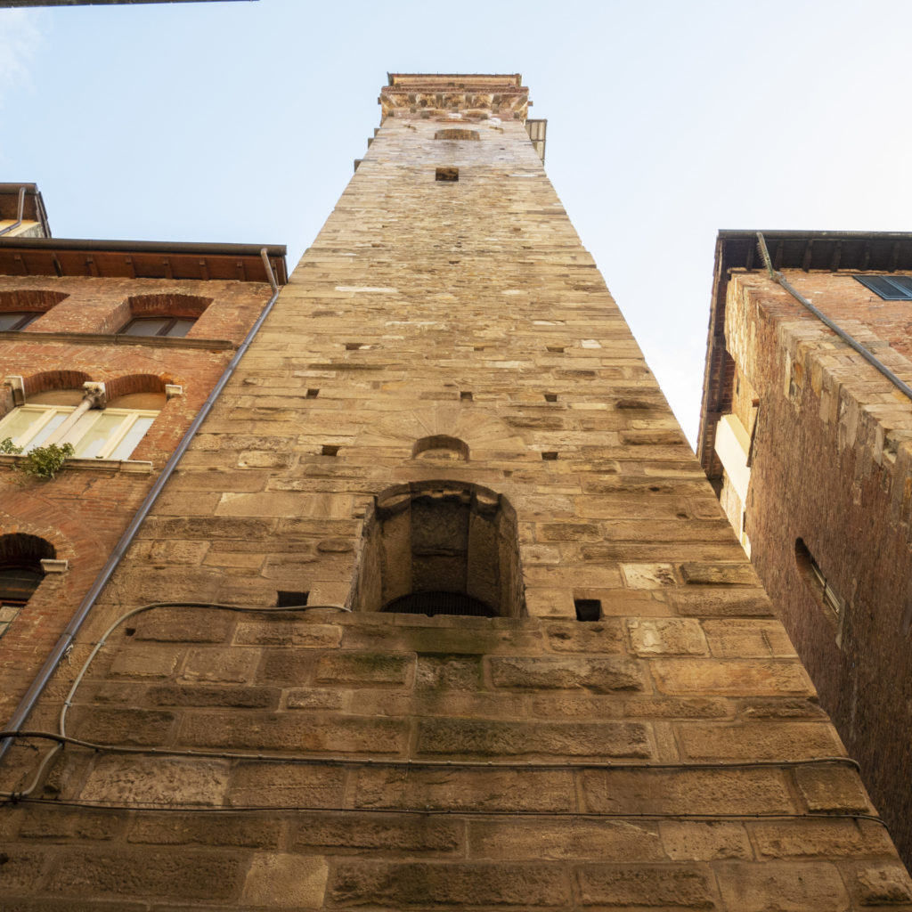 Lucca's towers